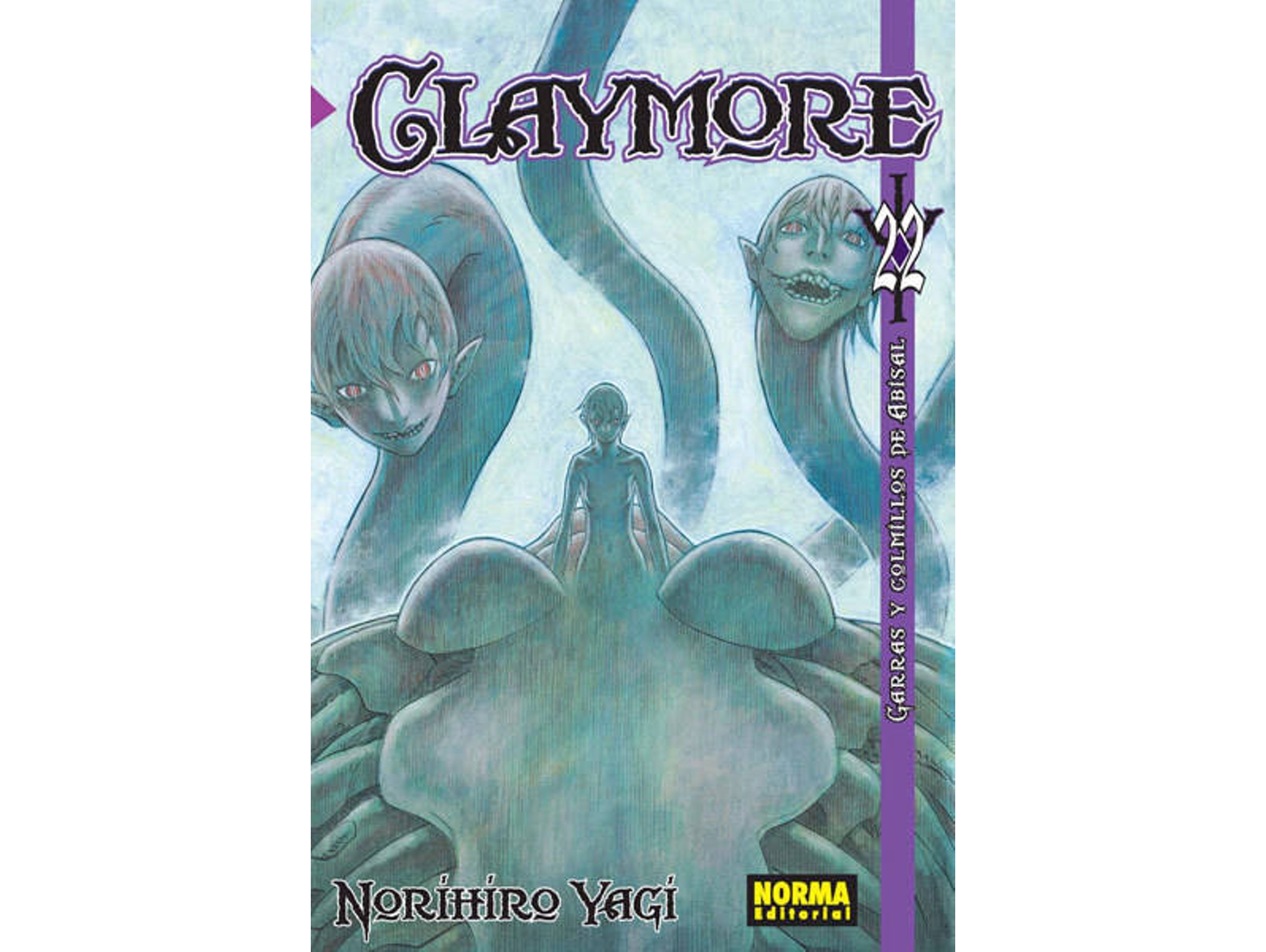 Libro Claymore, 22 de Vários Autores (Español)