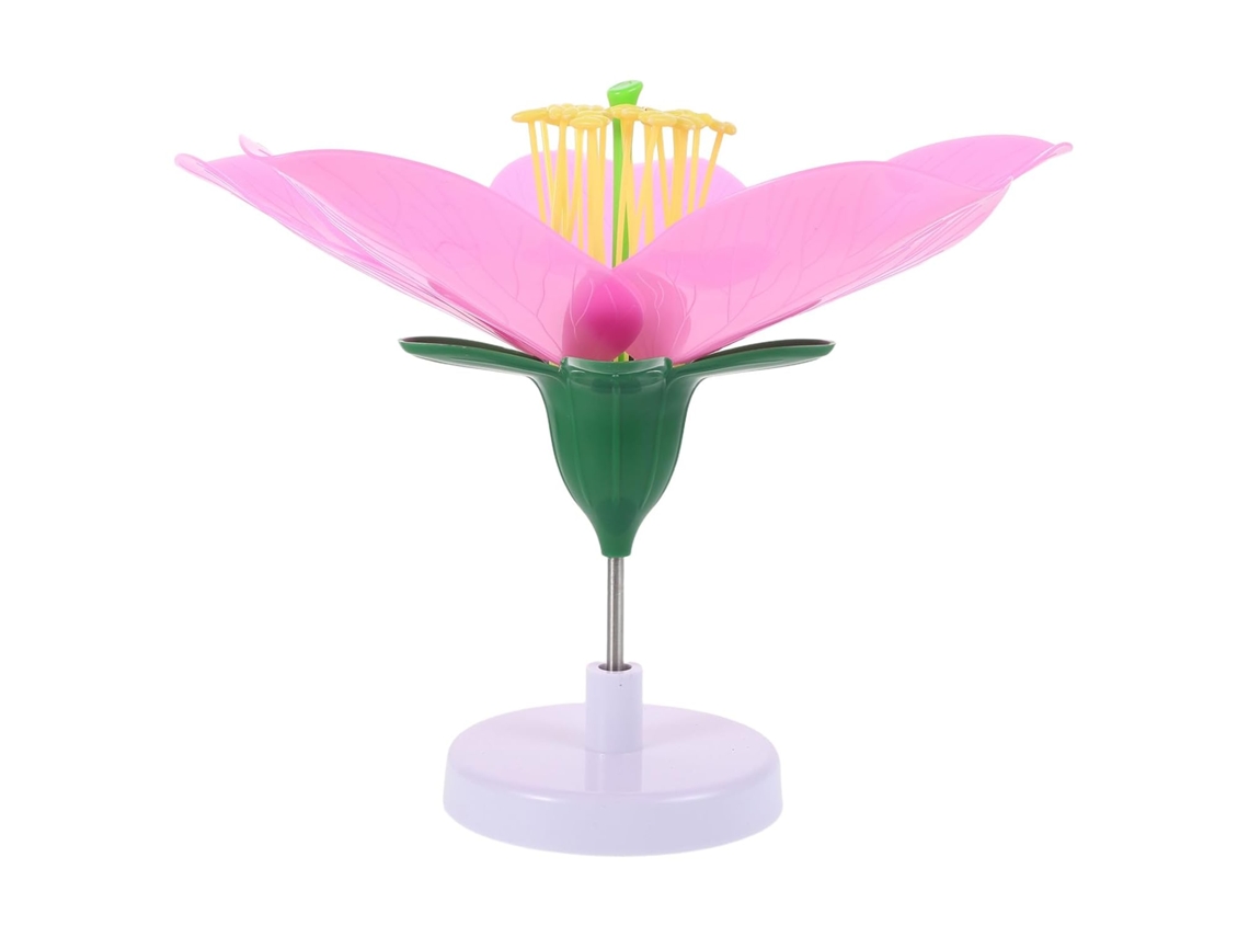Modelo Artificial De Flor De Durazno A Gran Escala Para La Enseñanza De La Biología.