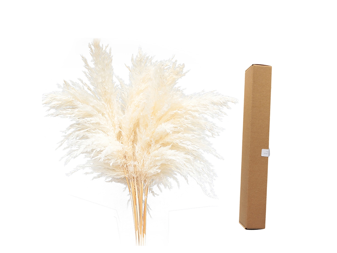 Planta de la Pampa seca, decoración boho, arreglo natural