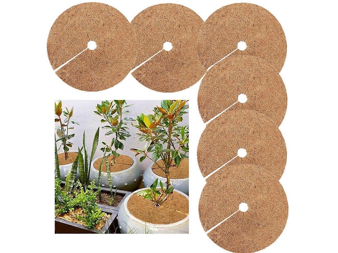6 Discos De Mantillo De Coco Biodegradable, Protección Invernal Para Plantas En Maceta, Alfombra Para Jardinería, 20cm