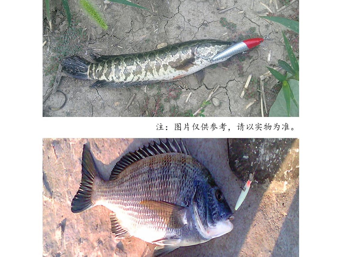 Danu26-lixada Cebo Artificial Minnow Luminoso Nocturno 3d 82mm 8g Isca Dura Con Anzuelos Triangulares