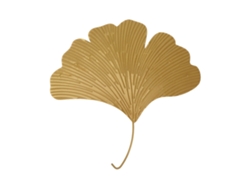 Decoración de pared de hierro biloba para interiores