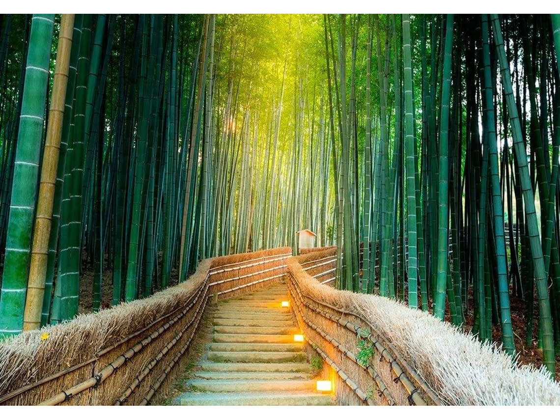 Fotomural OEDIM Bosque Bambú (Multicolor - 200x150cm - Vinilo)