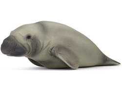 Figura PAPO Manati