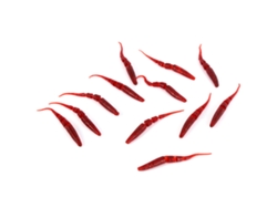 Anub 12 señuelos de pesca blandos con forma de gusano para agua dulce - Kit de señuelos de pesca rojos