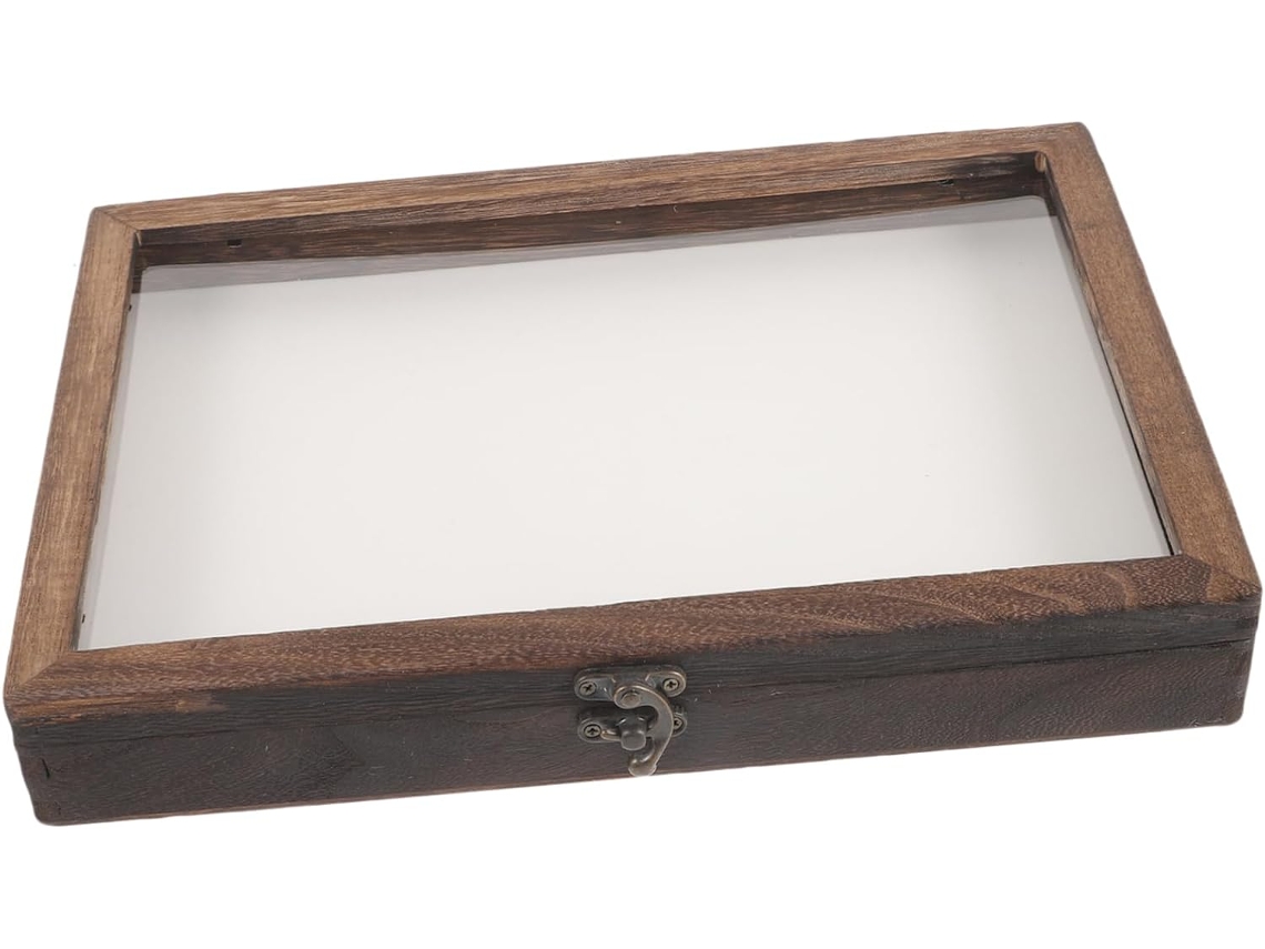 Caja De Exhibición De Insectos, Vitrina De Muestras, Ventana Transparente, Colección