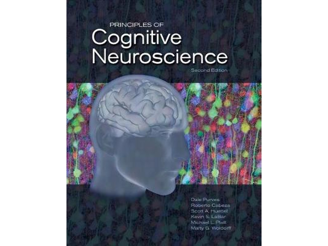 Libro Principles of Cognitive Neuroscience de Dale Purves, Kevin S Labar et al. (Inglés - Tapa Dura)