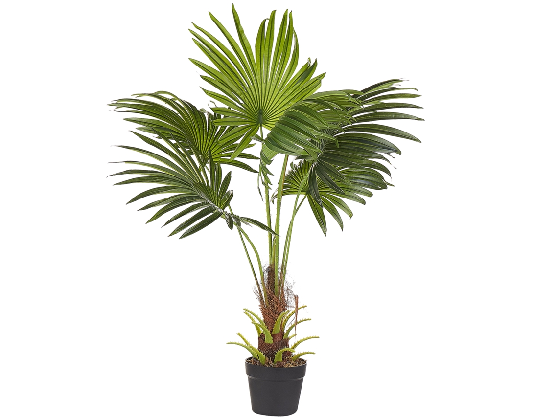 Planta artificial BELIANI Fan palm de Material sintético Verde 35x30x100