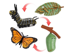 Conjunto De 4 Etapas Del Ciclo De Vida De La Mariposa Monarca: Herramienta Educativa Para Niños Y Estudiantes.
