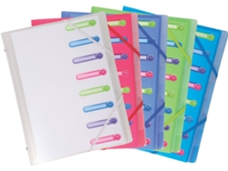 Carpeta EXACOMPTA Din A4 Pp 8 Compartimentos Ordenada