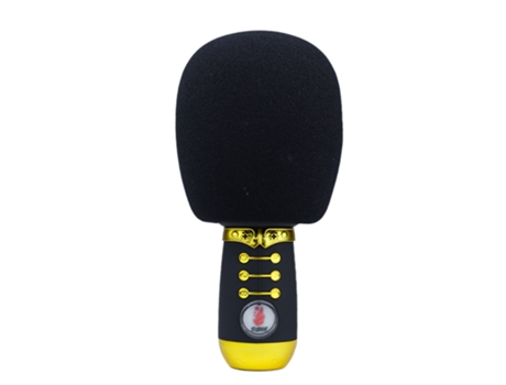 Micrófono con Altavoz SKYHE Ds108