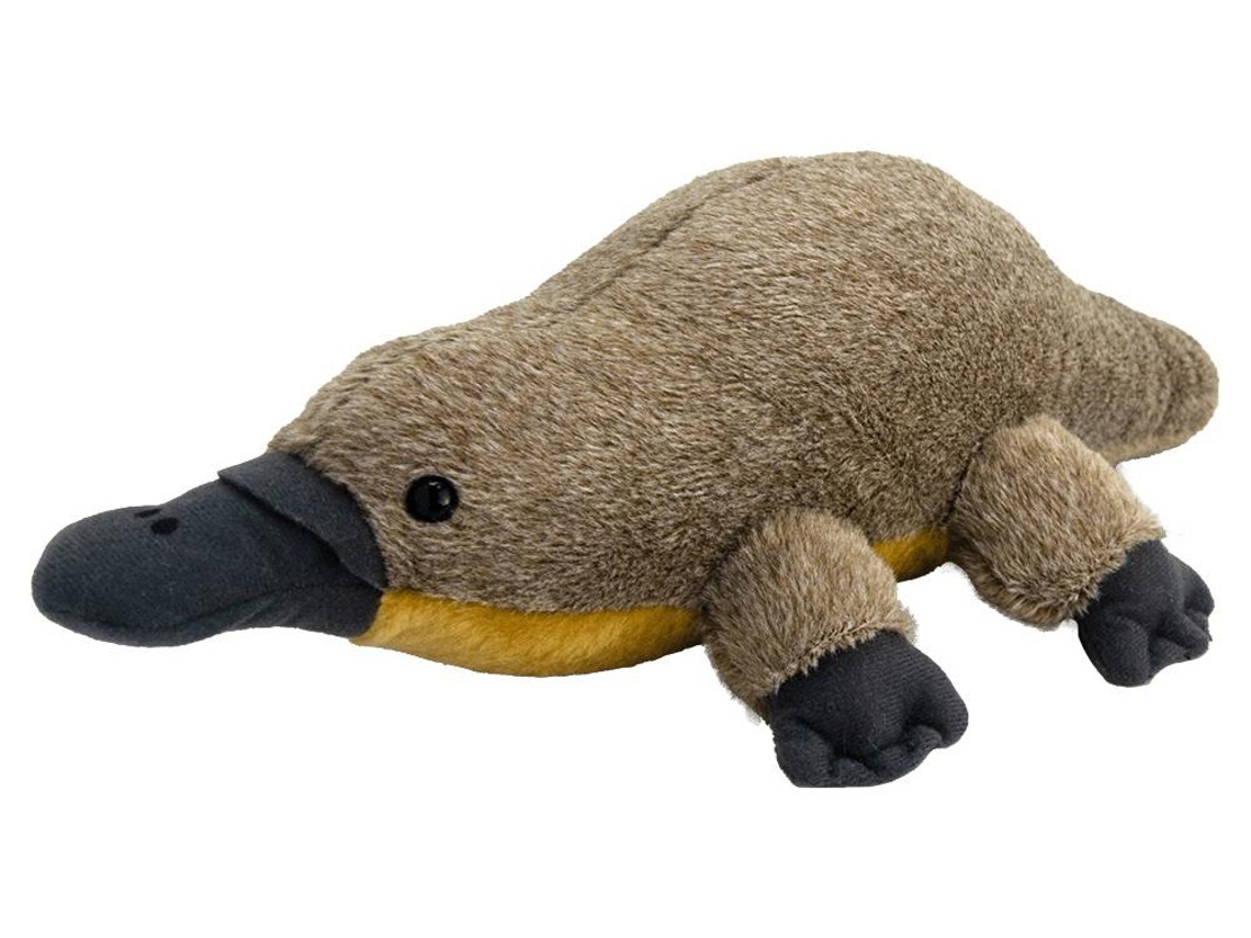 Peluche WILD PLANET Ornitorrinco (40 x 23 x 10 cm - Poliéster)