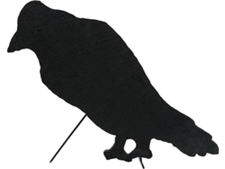 Silueta EUROPALMS Crow (63cm)