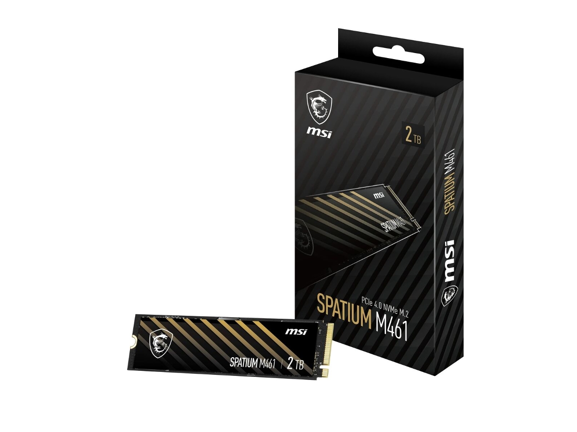 Disco Interno MSI Espacial M461 2Tb