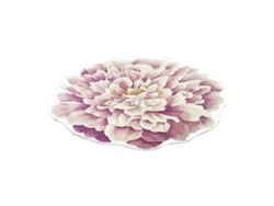 Alfombra Pequeña Con Estampado Floral En 3d Mediante Tecnología De Transferencia Térmica, Ideal Para Sofás, Dormitorios Y Salas Estar.
