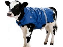 Manta Térmica Para Panturrilhas – Roupa Para Clima Frio