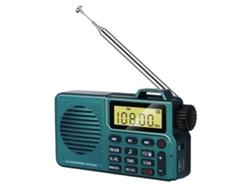 Radio portátil DSP y radio AM/FM con Bluetooth 5.0, radio de red pequeña y radios portátiles a batería, carga USB durante más de 17 horas. D Chennnls