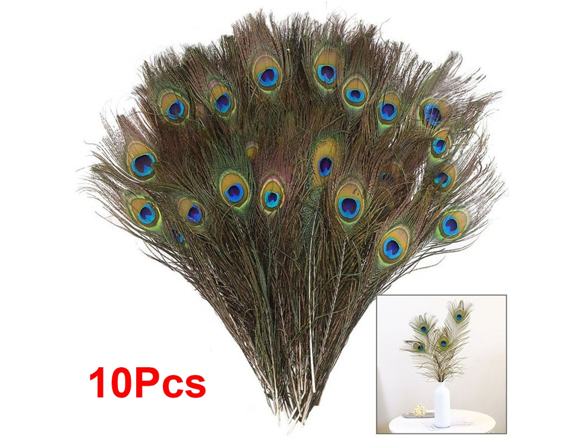 10 Plumas De Pavo Real Naturales Para Decoración De Bodas, Fiestas Y Manualidades.