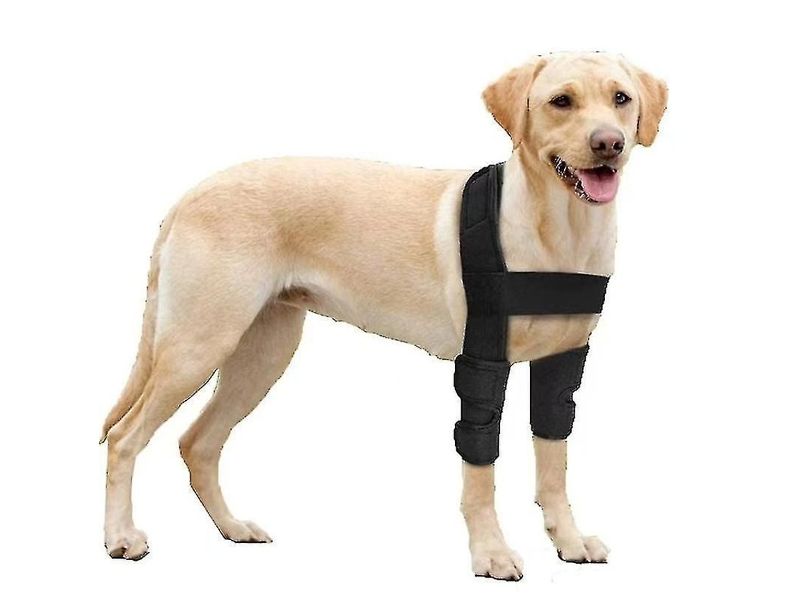 Protector de codo transpirable 2026 para perros con soporte para artritis, displasia y heridas en codos y hombros.