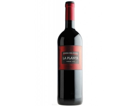 La Planta 2021 BODEGAS ARZUAGA NAVARRO