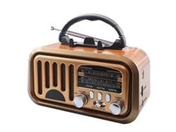 Radio portátil retro clásica vintage GOKOCO FM AM SW
