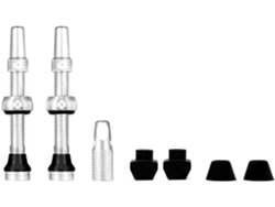 Valvula MUC-OFF Juego V2 Tubeless (Gris)