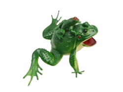 Mini Rana De Plástico Realista Para El Baño De Bebés Con Sonido - 10*17 Cm