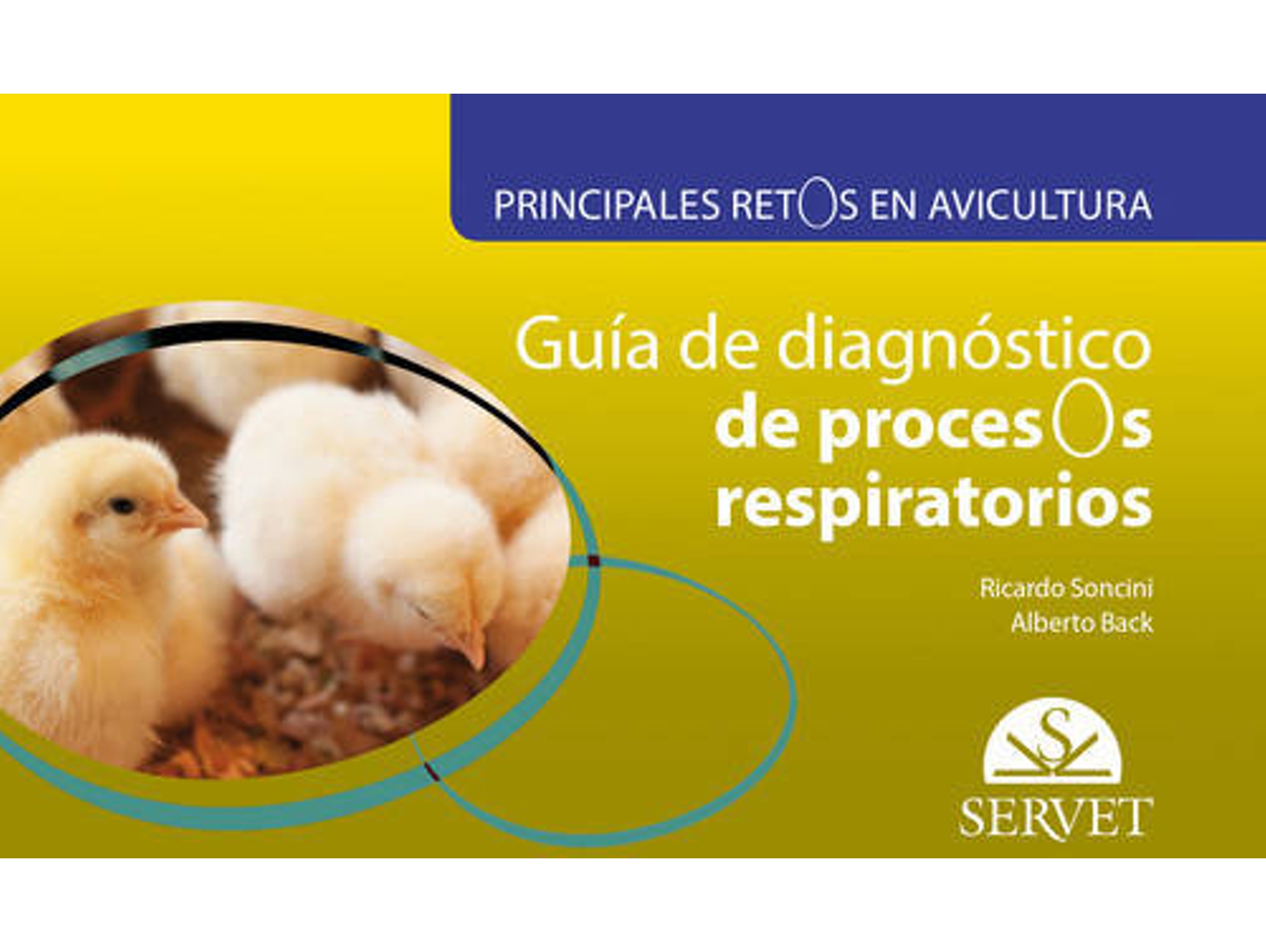 Libro Guía De Diagnóstico De Procesos Respiratorios de Alberto Back e R Soncini (Español)