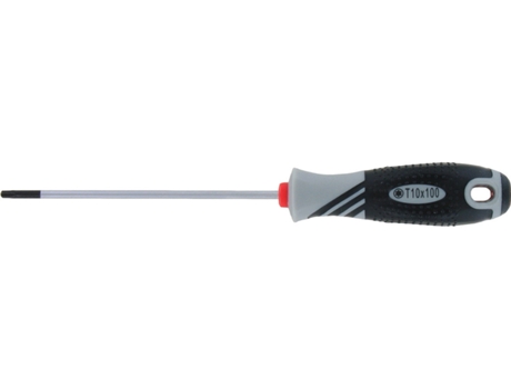 Destornillador VAR Compatible Torx T10 (M)
