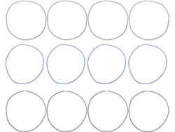 Juego De 12 Bandas Elásticas Para Cubos De Basura, Tensores Ajustables Y Planos.