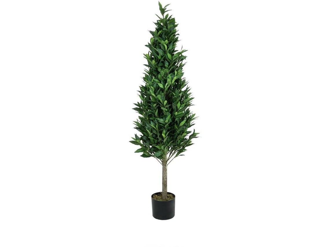 Planta Artificial EUROPALMS Laurel Cone (Verde - 150 cm)