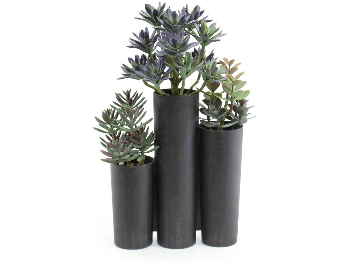 Planta Artificial EUROPALMS Succulent Trio (Verde - 43 cm)