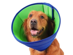 2026-collar Suave Para Perros Post-operatorio - Protección De Heridas Y Prevención De Mordeduras