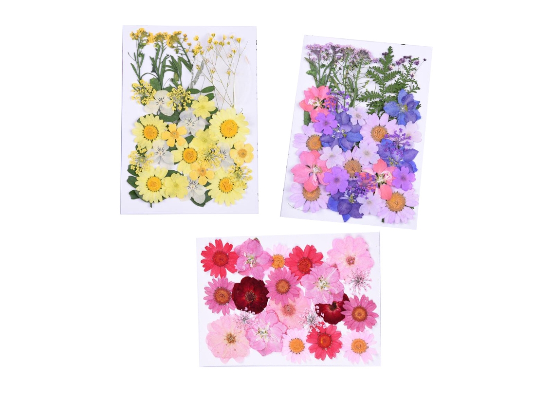 Flores secas naturales hechas a mano, suministros para manualidades con flores prensadas, envasado al vacío para moldes de resina, manualidades DIY