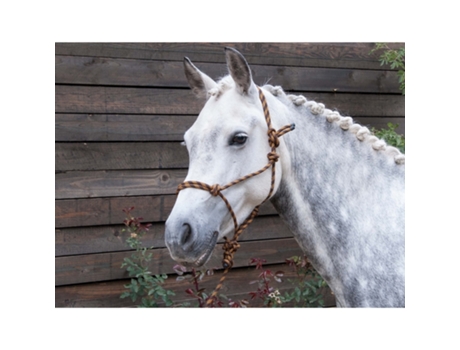 Cabezada para caballos etho+longe T de T