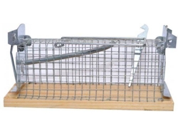 Ratonera SWISSINNO Supercat Clássicos
