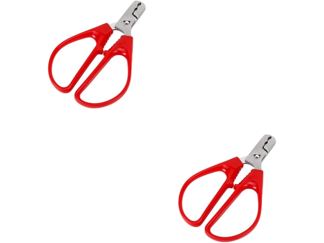 Cascanueces - Consejo. Estimado Comprador, Debido A Los Efectos De Iluminación, El Brillo Del Monitor, La M...
