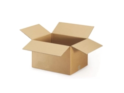 10 cajas de embalaje de 16 x 12 x 11 cm - Doble acanalado