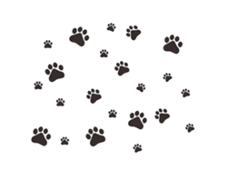 2026-sticker De Huellas De Perro Para Pared Decorativo Fondo Sala Dormitorio Adhesivo Decoración