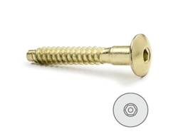 Tornillo Autorroscante Embellecedor Allen Latonado 7-40