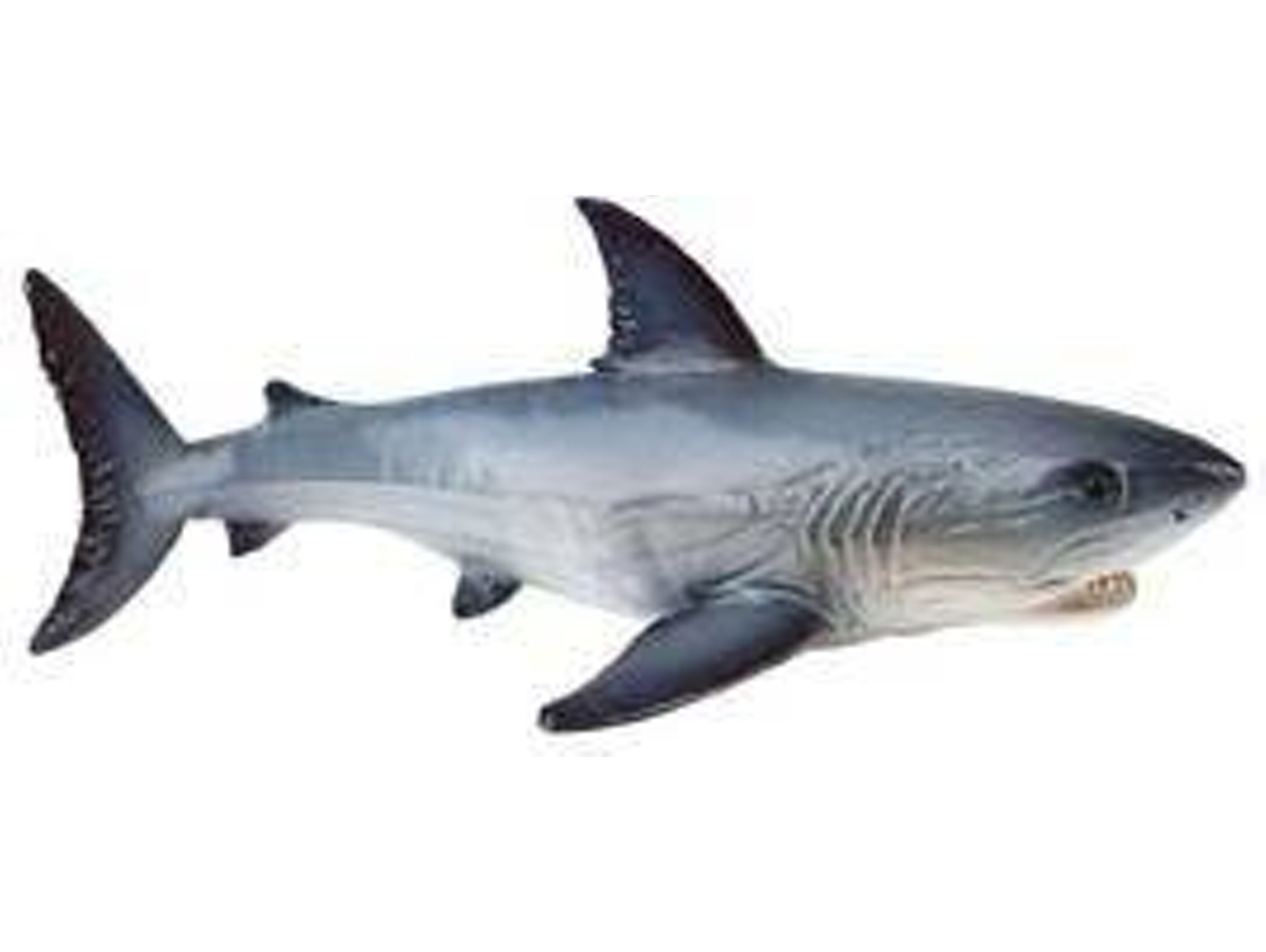 Figura de Jugar BULLYLAND Tiburon blanco