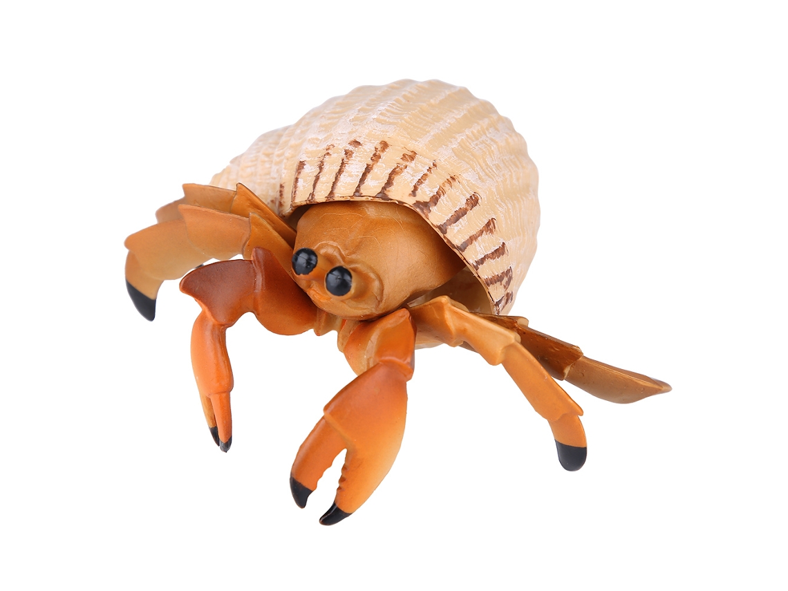 Ats-1 Pieza Modelo Simulacro De Cangrejo Ermitaño Juguete Animal Realista Regalo Propeducativo Para Niños