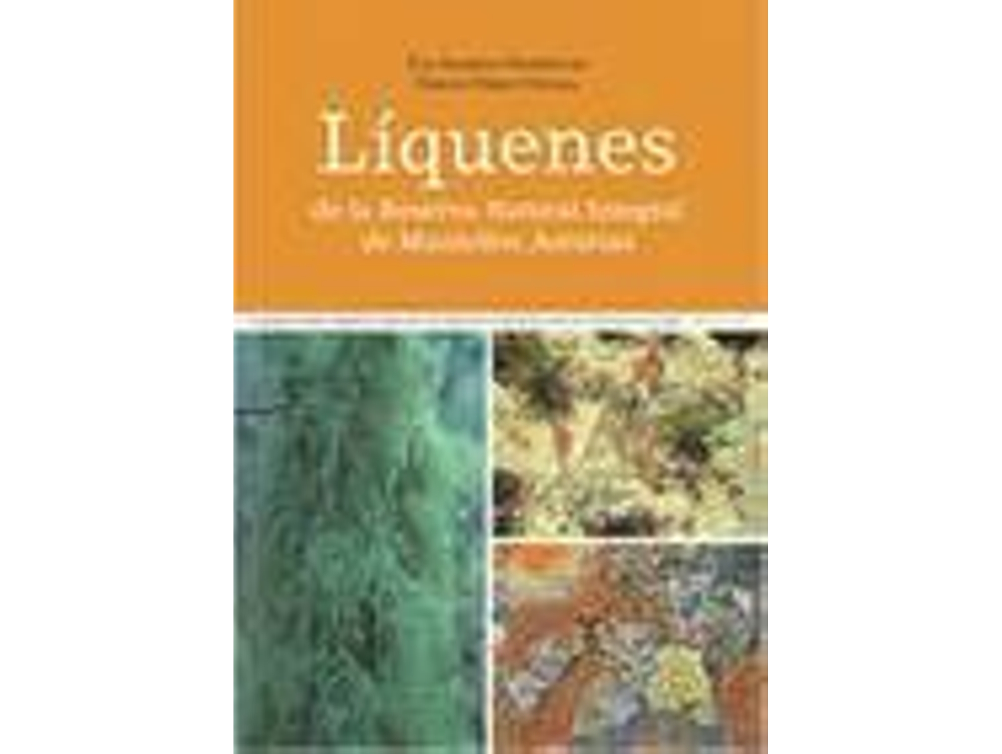 Libro Liquenes De La Reserva Natural Integral De Muniellos, Asturias de Eva Barreno Rodriguez,Sergio Perez Ortega (Español)