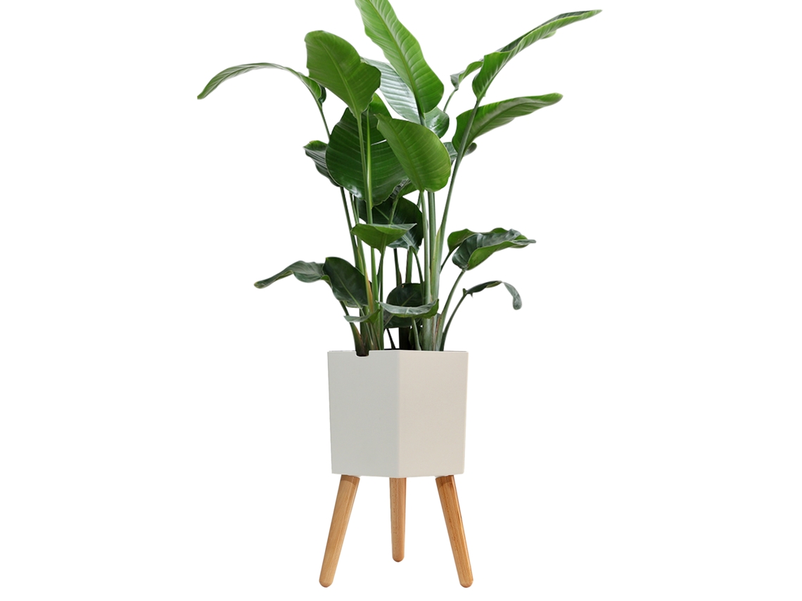 Maceta inteligente con alarma de pérdida de agua para plantas de interior