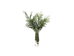 Thuja | Flor Natural | Ramo de 5 tallos | Verde | 60cm de alto