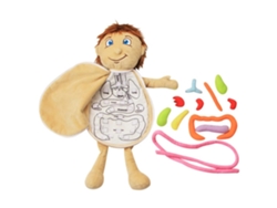 Juguete De Anatomía Del Cuerpo Humano Modelo De Muñeco De Órganos Educativo Preescolar Para Niños