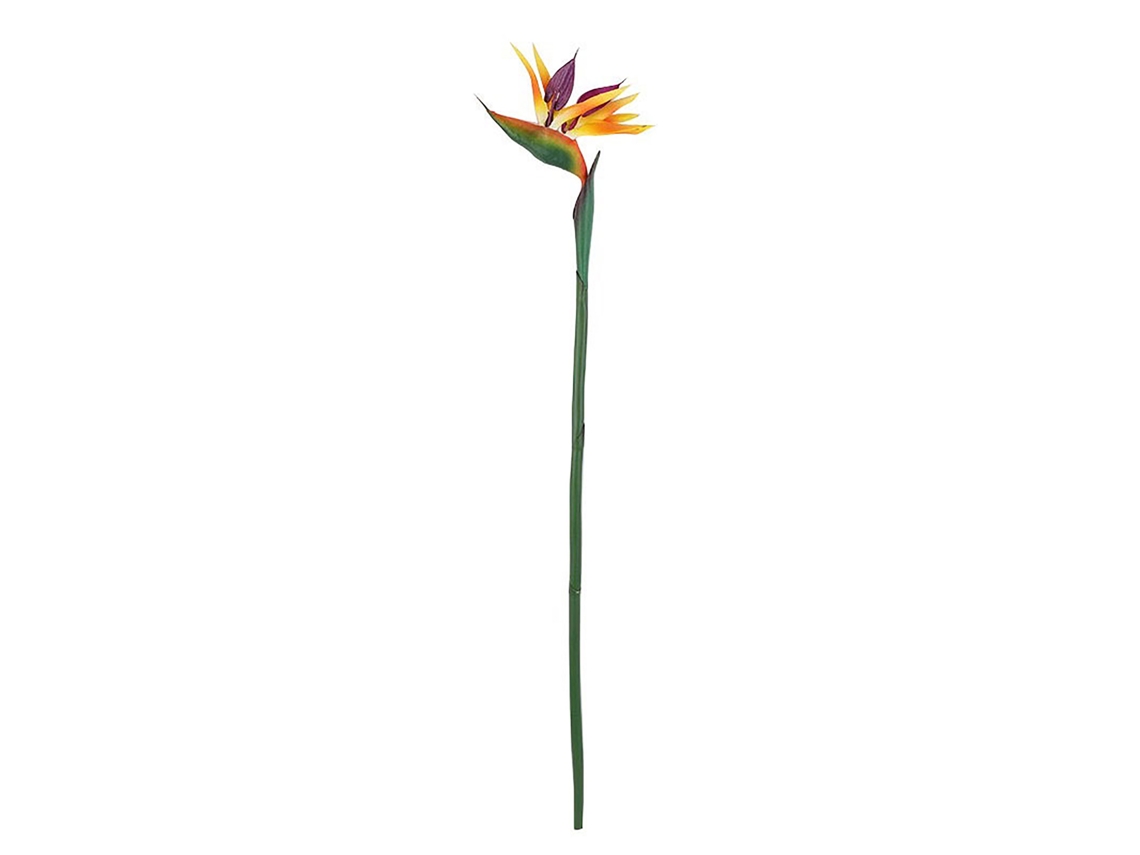 Compra online (3 unidades, tamaño controlado 50 cm)