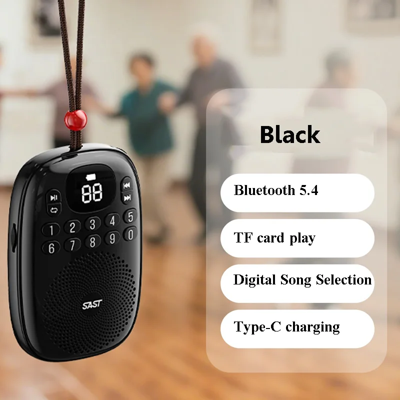 Mini radio FM (negra), pantalla LED, recargable, Bluetooth 5.4, tarjeta TF, función de memoria tras apagado.