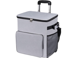 Carrito Refrigerado Con Bolsa Térmica De 35 L, Contenedor De Alimentos Impermeable, Carrito Exterior De Fácil