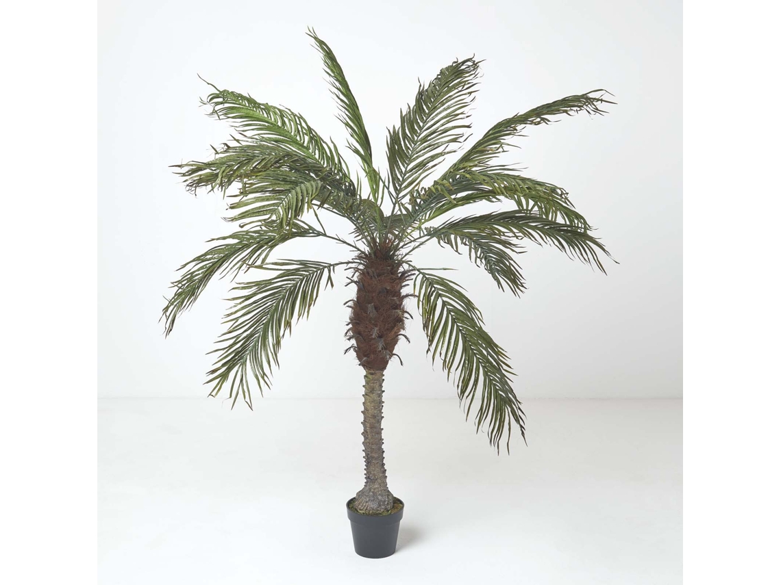 Palmera Phoenix de Homescapes en maceta, 160 cm de altura